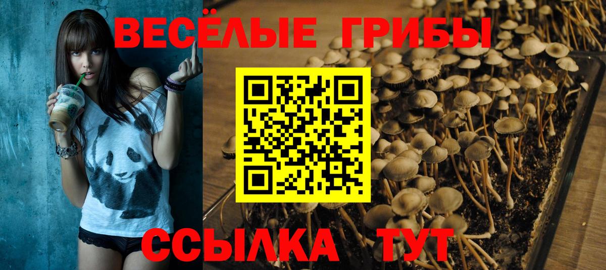 Псилоцибиновые грибы ЛСД  Вход с VPN  Псилоцибиновые грибы ЛСД  Чернушка 