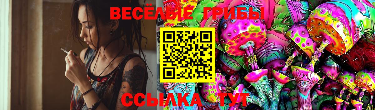 Галлюциногенные грибы Cubensis Чернушка